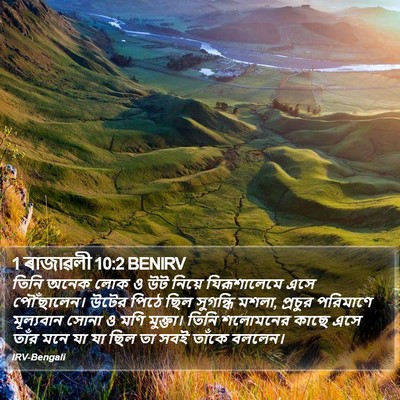 1 ৰাজাৱলী 10:2 BENIRV Bible Verse Image