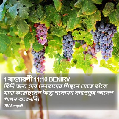 1 ৰাজাৱলী 11:10 BENIRV Bible Verse Image