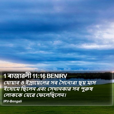 1 ৰাজাৱলী 11:16 BENIRV Bible Verse Image