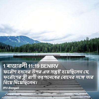1 ৰাজাৱলী 11:19 BENIRV Bible Verse Image