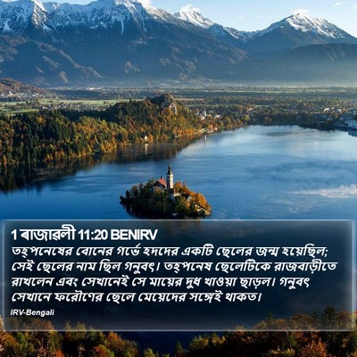 1 ৰাজাৱলী 11:20 BENIRV Bible Verse Image