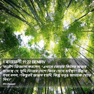 1 ৰাজাৱলী 11:22 BENIRV Bible Verse Image
