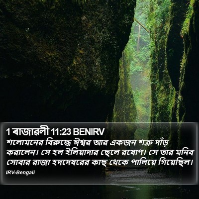 1 ৰাজাৱলী 11:23 BENIRV Bible Verse Image