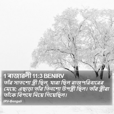 1 ৰাজাৱলী 11:3 BENIRV Bible Verse Image
