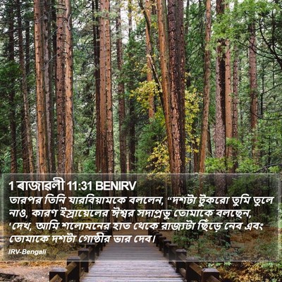 1 ৰাজাৱলী 11:31 BENIRV Bible Verse Image