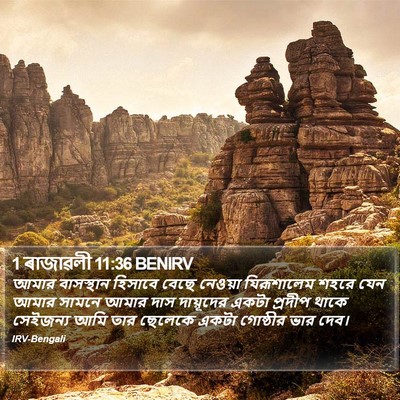 1 ৰাজাৱলী 11:36 BENIRV Bible Verse Image
