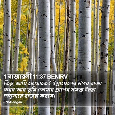 1 ৰাজাৱলী 11:37 BENIRV Bible Verse Image