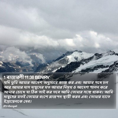 1 ৰাজাৱলী 11:38 BENIRV Bible Verse Image