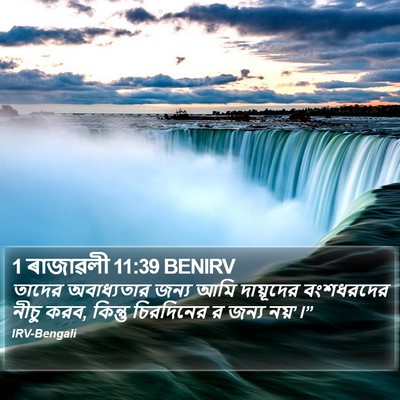1 ৰাজাৱলী 11:39 BENIRV Bible Verse Image