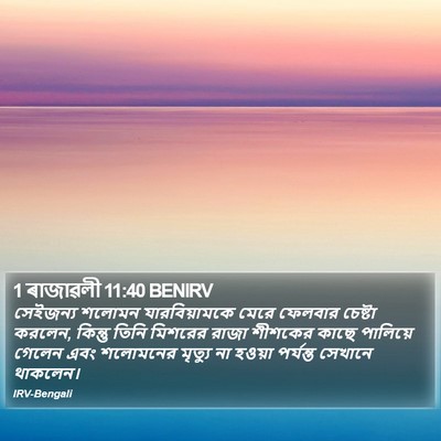 1 ৰাজাৱলী 11:40 BENIRV Bible Verse Image
