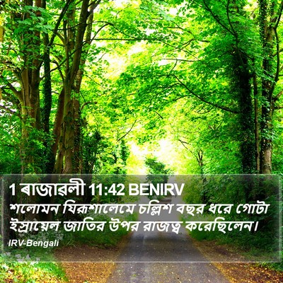1 ৰাজাৱলী 11:42 BENIRV Bible Verse Image