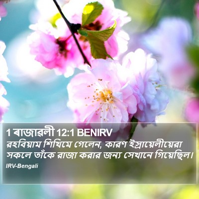 1 ৰাজাৱলী 12:1 BENIRV Bible Verse Image