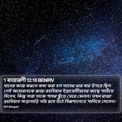 1 ৰাজাৱলী 12:18 BENIRV Bible Verse Image