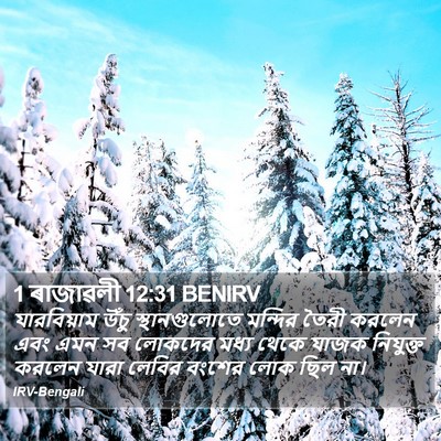1 ৰাজাৱলী 12:31 BENIRV Bible Verse Image
