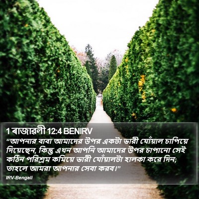 1 ৰাজাৱলী 12:4 BENIRV Bible Verse Image
