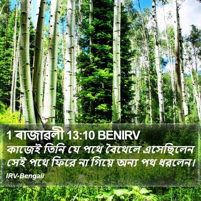 1 ৰাজাৱলী 13:10 BENIRV Bible Verse Image