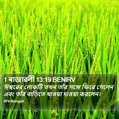 1 ৰাজাৱলী 13:19 BENIRV Bible Verse Image