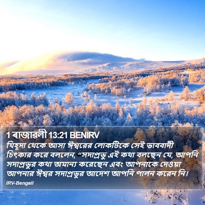 1 ৰাজাৱলী 13:21 BENIRV Bible Verse Image