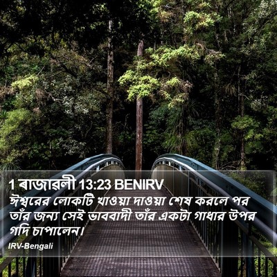 1 ৰাজাৱলী 13:23 BENIRV Bible Verse Image