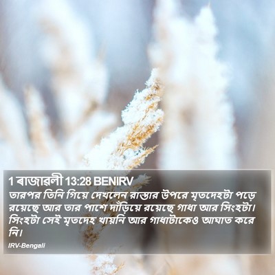 1 ৰাজাৱলী 13:28 BENIRV Bible Verse Image