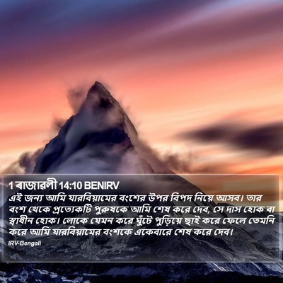 1 ৰাজাৱলী 14:10 BENIRV Bible Verse Image