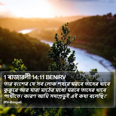 1 ৰাজাৱলী 14:11 BENIRV Bible Verse Image