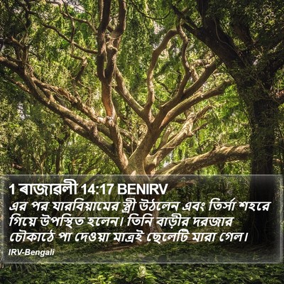 1 ৰাজাৱলী 14:17 BENIRV Bible Verse Image