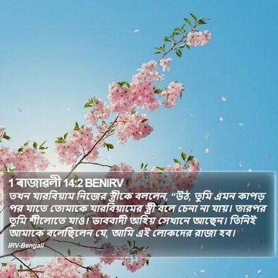 1 ৰাজাৱলী 14:2 BENIRV Bible Verse Image