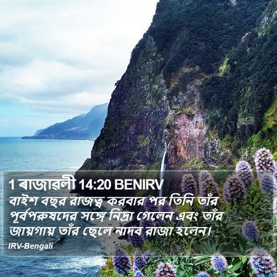 1 ৰাজাৱলী 14:20 BENIRV Bible Verse Image
