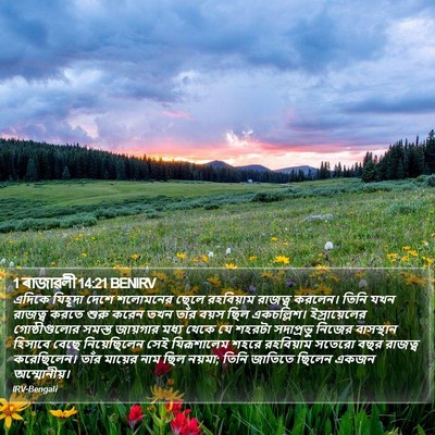 1 ৰাজাৱলী 14:21 BENIRV Bible Verse Image
