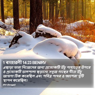 1 ৰাজাৱলী 14:23 BENIRV Bible Verse Image