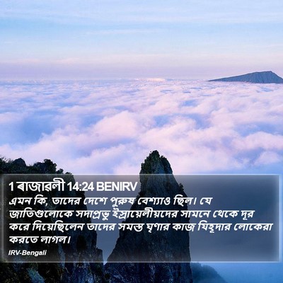 1 ৰাজাৱলী 14:24 BENIRV Bible Verse Image