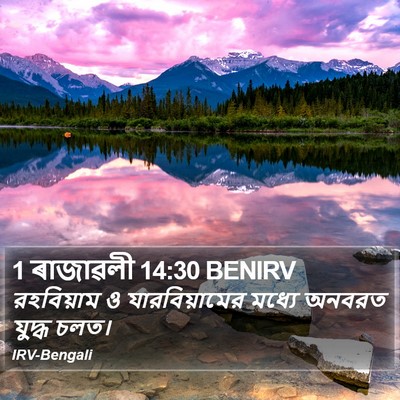 1 ৰাজাৱলী 14:30 BENIRV Bible Verse Image
