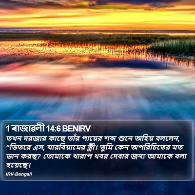 1 ৰাজাৱলী 14:6 BENIRV Bible Verse Image