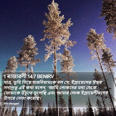 1 ৰাজাৱলী 14:7 BENIRV Bible Verse Image