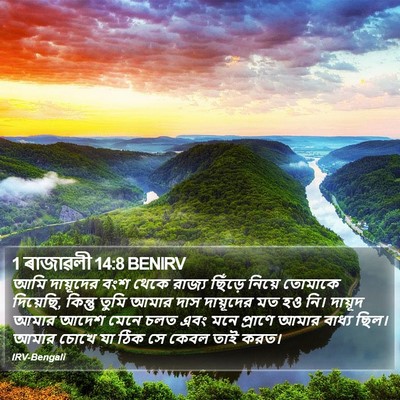 1 ৰাজাৱলী 14:8 BENIRV Bible Verse Image