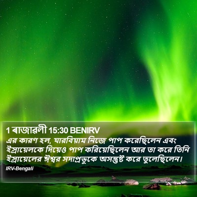 1 ৰাজাৱলী 15:30 BENIRV Bible Verse Image