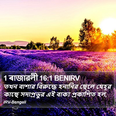 1 ৰাজাৱলী 16:1 BENIRV Bible Verse Image