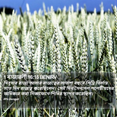 1 ৰাজাৱলী 16:15 BENIRV Bible Verse Image