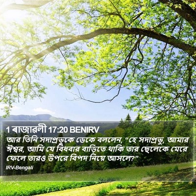 1 ৰাজাৱলী 17:20 BENIRV Bible Verse Image
