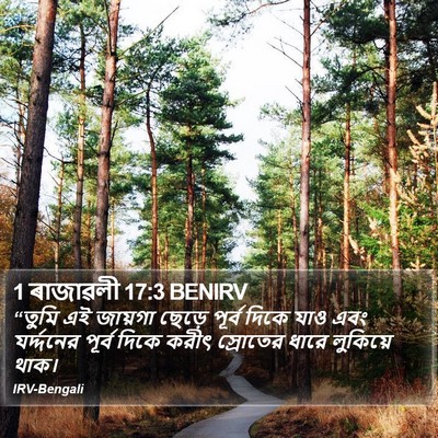 1 ৰাজাৱলী 17:3 BENIRV Bible Verse Image