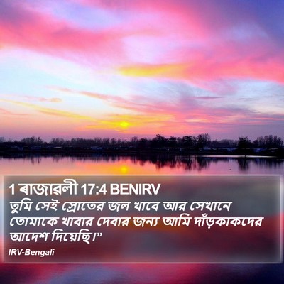 1 ৰাজাৱলী 17:4 BENIRV Bible Verse Image