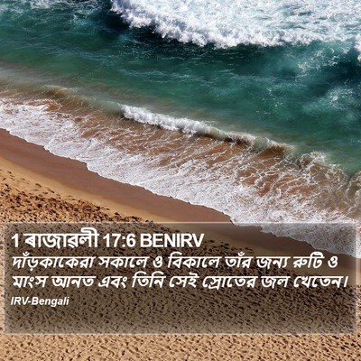 1 ৰাজাৱলী 17:6 BENIRV Bible Verse Image