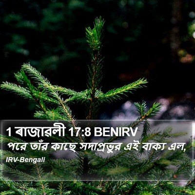 1 ৰাজাৱলী 17:8 BENIRV Bible Verse Image