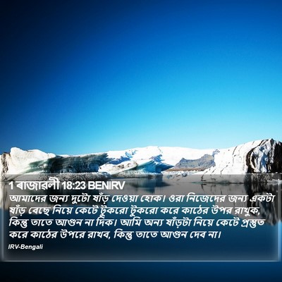 1 ৰাজাৱলী 18:23 BENIRV Bible Verse Image