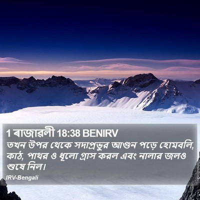 1 ৰাজাৱলী 18:38 BENIRV Bible Verse Image
