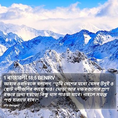 1 ৰাজাৱলী 18:5 BENIRV Bible Verse Image