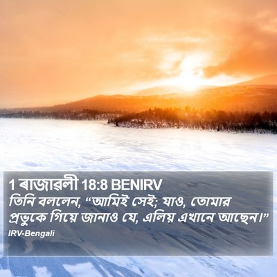 1 ৰাজাৱলী 18:8 BENIRV Bible Verse Image