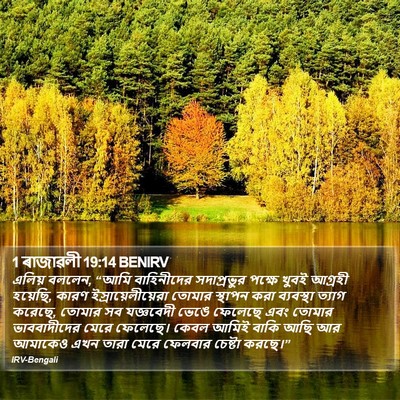 1 ৰাজাৱলী 19:14 BENIRV Bible Verse Image