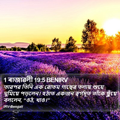 1 ৰাজাৱলী 19:5 BENIRV Bible Verse Image